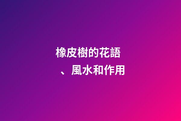 橡皮樹的花語、風水和作用